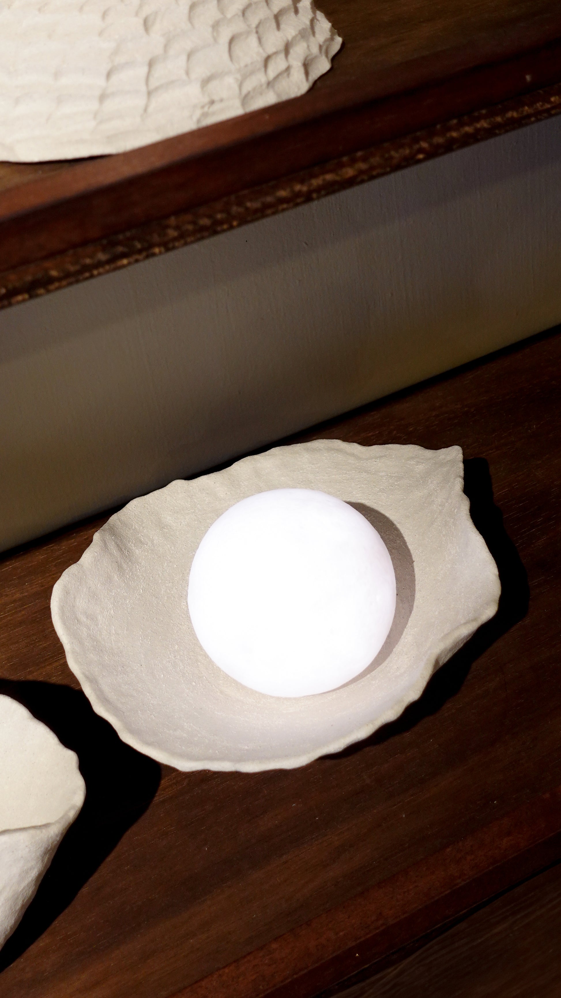 The World Is Your Oyster